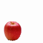 ringo.gif